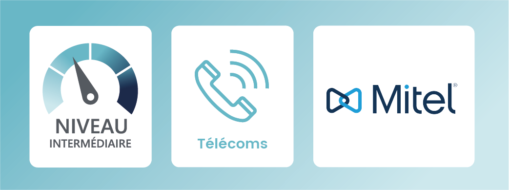 Illustration gallery formation Mitel