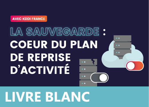 La sauvegarde : coeur du Plan de Reprise d'Activité