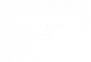 Logo Aruba Blanc