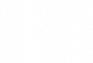 Logo DSTNY OpenIP Blanc