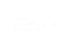 Logo HPE Blanc