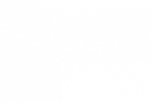Logo Hirschmann Blanc