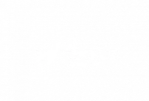 Logo Ruckus Blanc
