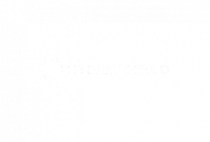 Logo Stormshield Blanc