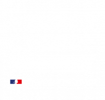 Expert Cyber-04